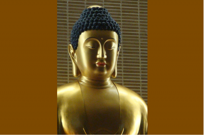 Trong Phật Giáo Không Có Tư Tưởng Cực Đoan