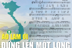 Ánh Đèn Vô Tận Lại Tìm Nhau