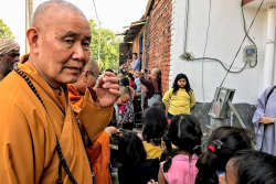 HOA TRONG ĐÁ, LÁ MUÔN NGÀN