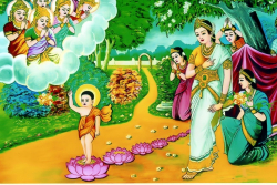 Tiểu khúc Phật đản