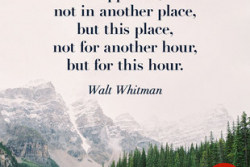 Ông Thần trong Hố Đen